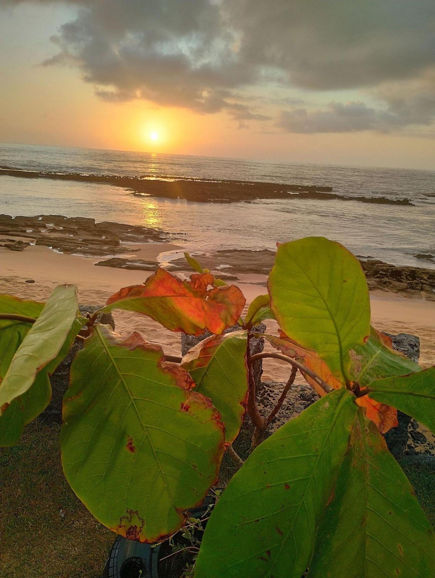 Pousada Tropicalia Tranquilidade A Beira Mar Santa Cruz Cabrália Zewnętrze zdjęcie